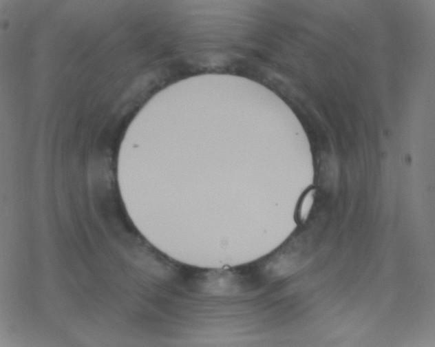 X0000077370612200611101706