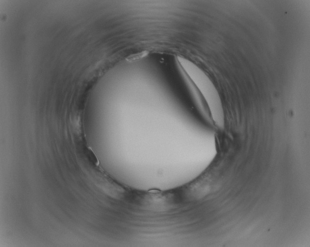 X0000077370613200611101706