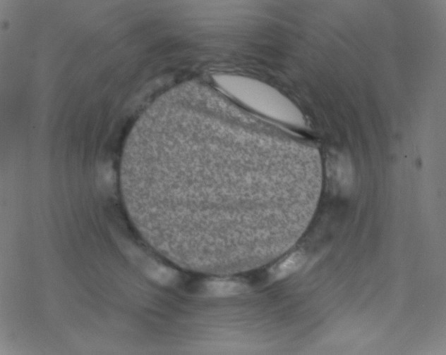 X0000077370614200611101706