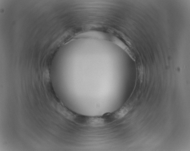 X0000077370617200611101706