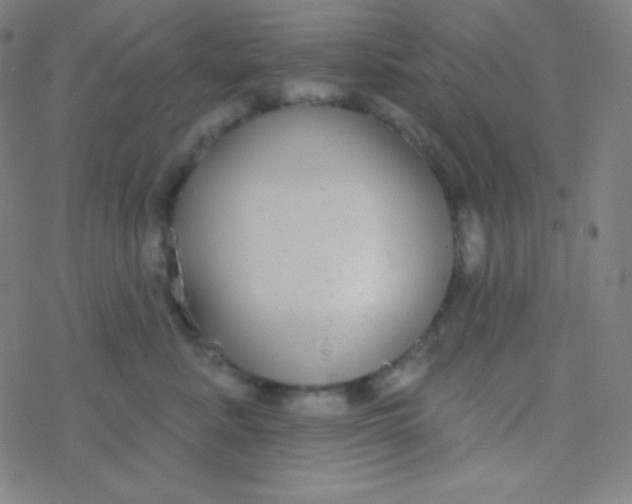 X0000077370619200611101706