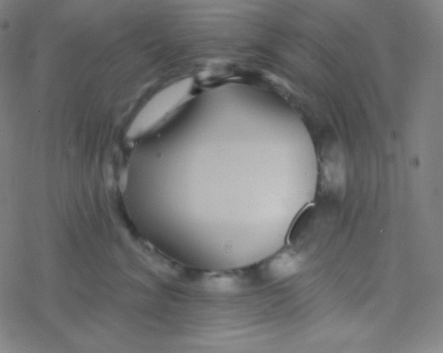 X0000077370620200611101706