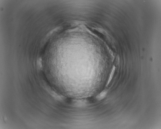 X0000077370621200611101706