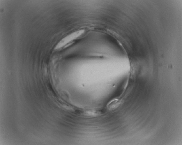 X0000077370623200611101706