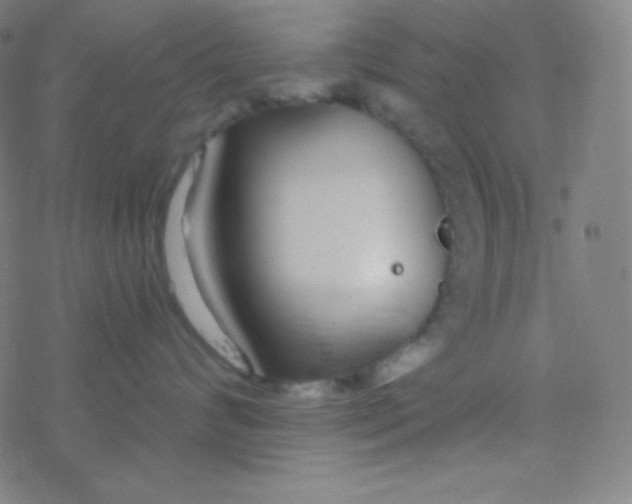 X0000077370624200611101706