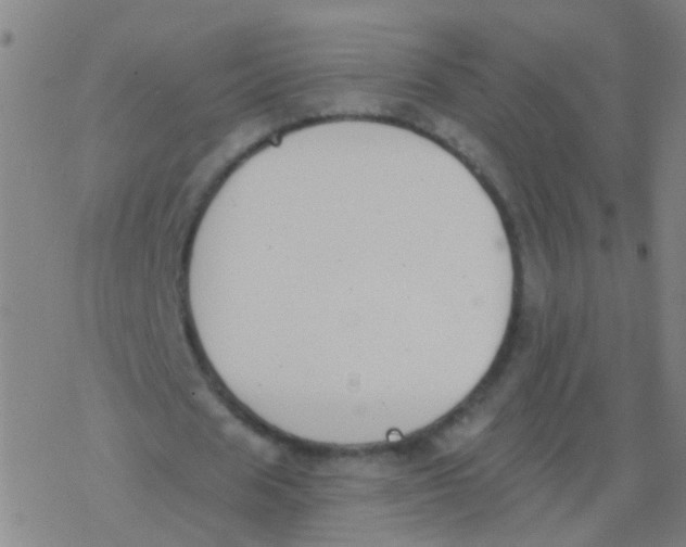 X0000077370625200611101705