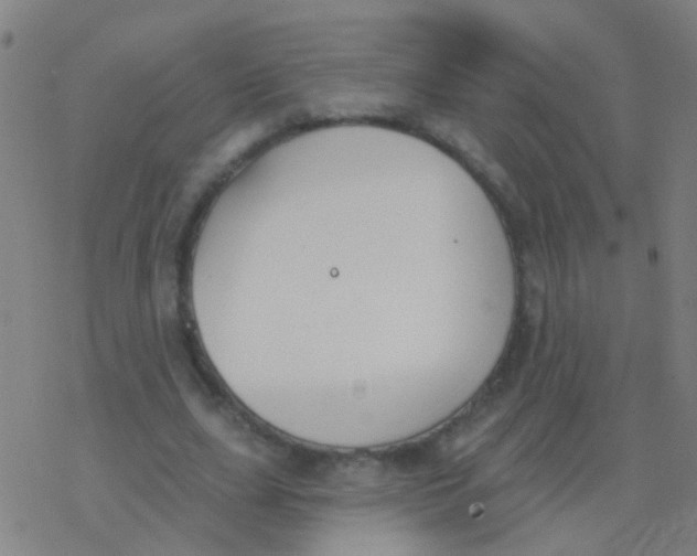 X0000077370631200611101705