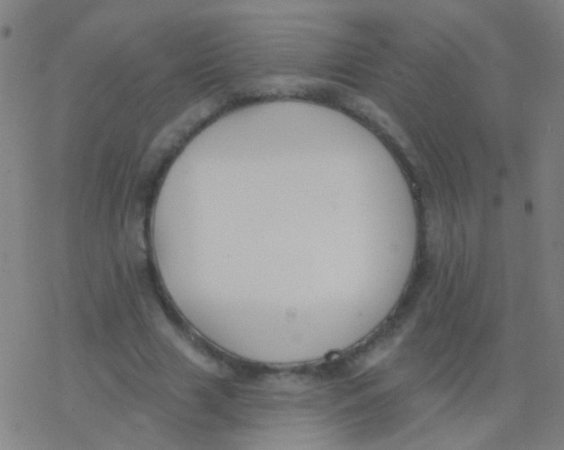 X0000077370633200611101705