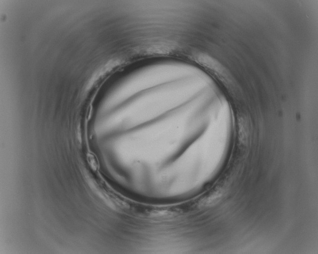 X0000077370634200611101705