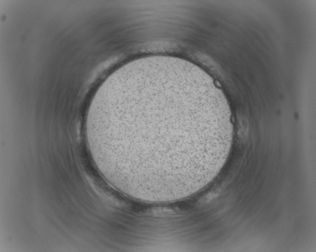 X0000077370636200611101705