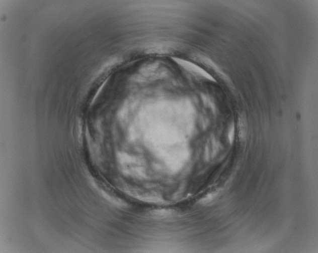 X0000077370637200611101705