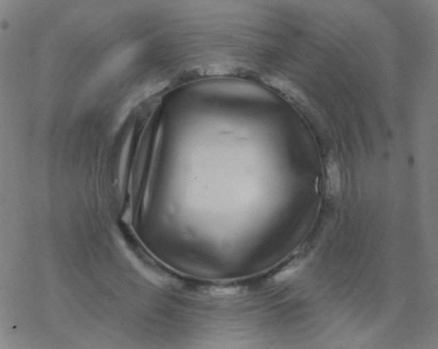 X0000077370638200611101705