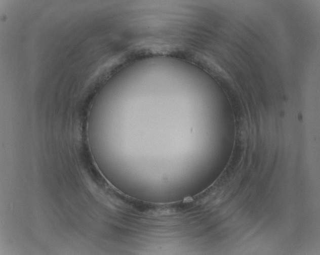 X0000077370639200611101705