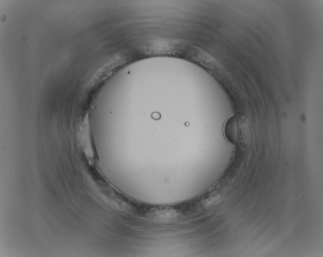 X0000077370642200611101705