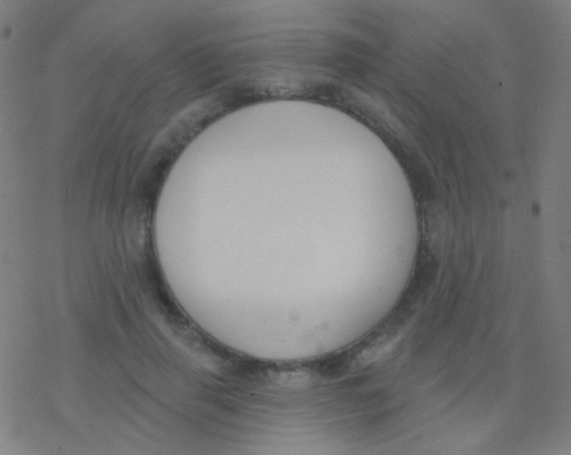 X0000077370645200611101705