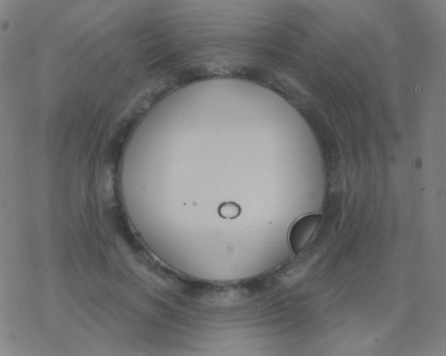 X0000077370646200611101705