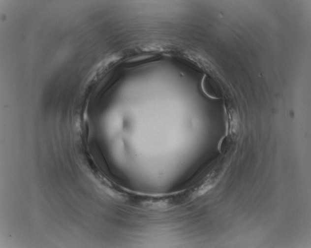 X0000077370648200611101705