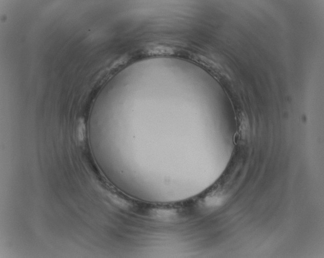 X0000077370649200611101705