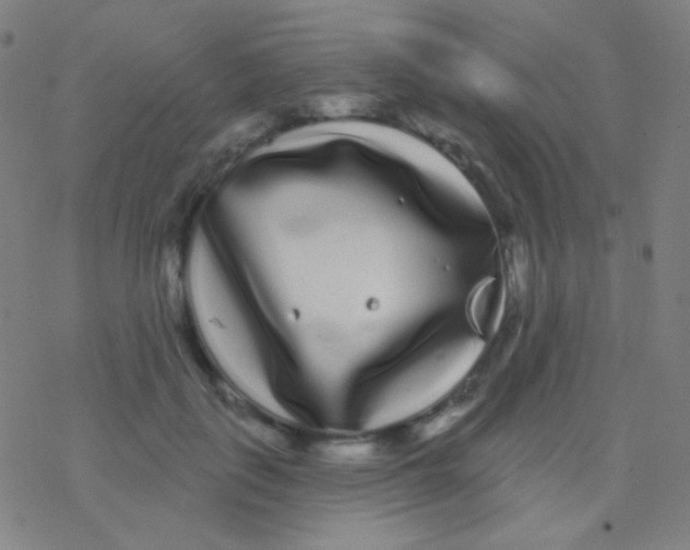 X0000077370651200611101705