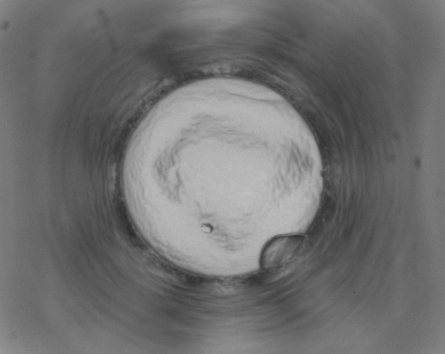 X0000077370652200611101705