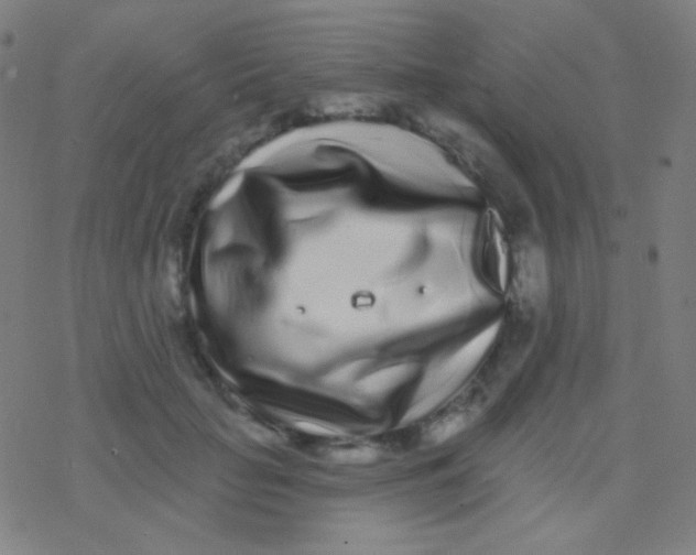 X0000077370653200611101705