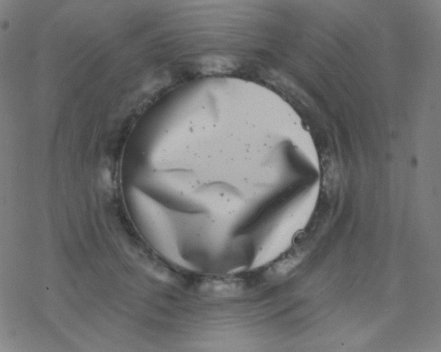 X0000077370655200611101705