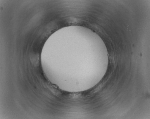 X0000077370660200611101705