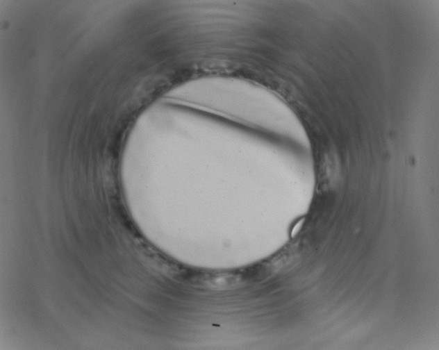 X0000077370663200611101705