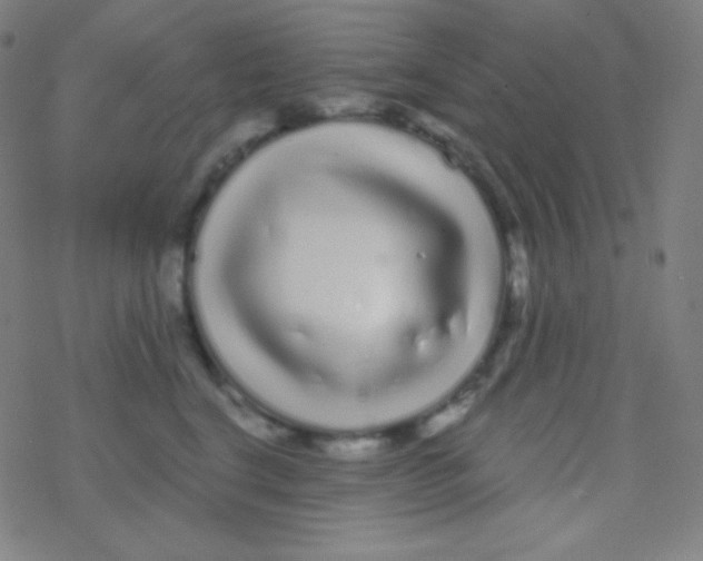 X0000077370664200611101705