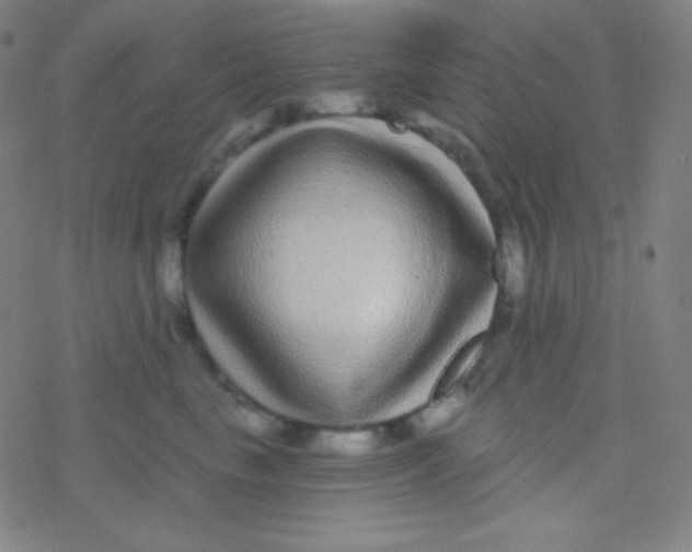 X0000077370665200611101705