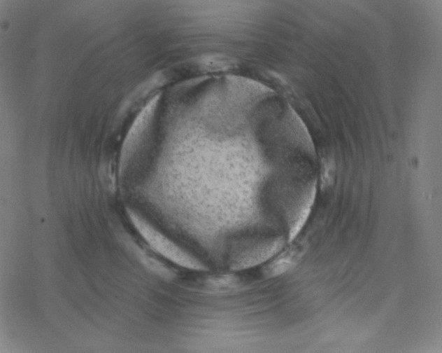 X0000077370666200611101705