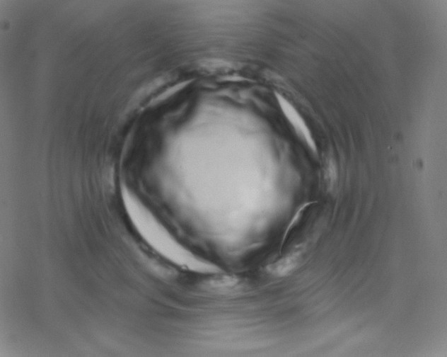 X0000077370668200611101705