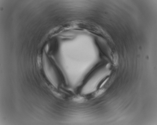 X0000077370669200611101705