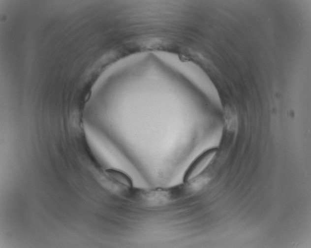 X0000077370670200611101705