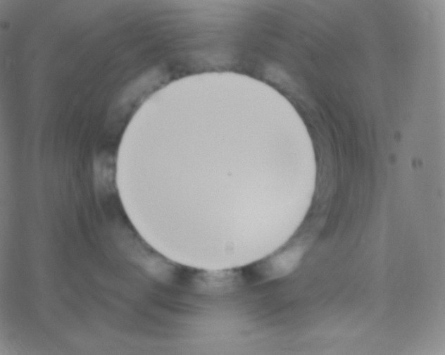 X0000077370672200611101706