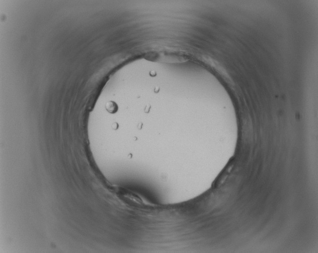 X0000077370673200611101705