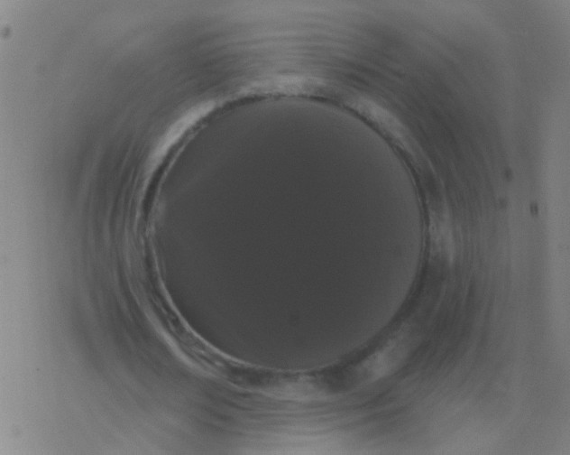 X0000077370674200611101705