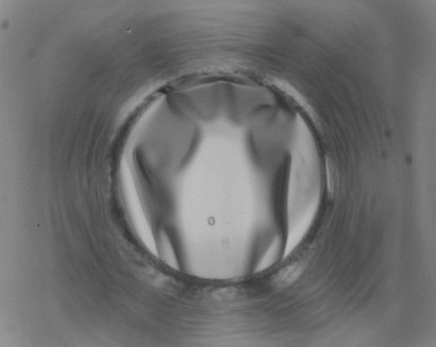 X0000077370675200611101705