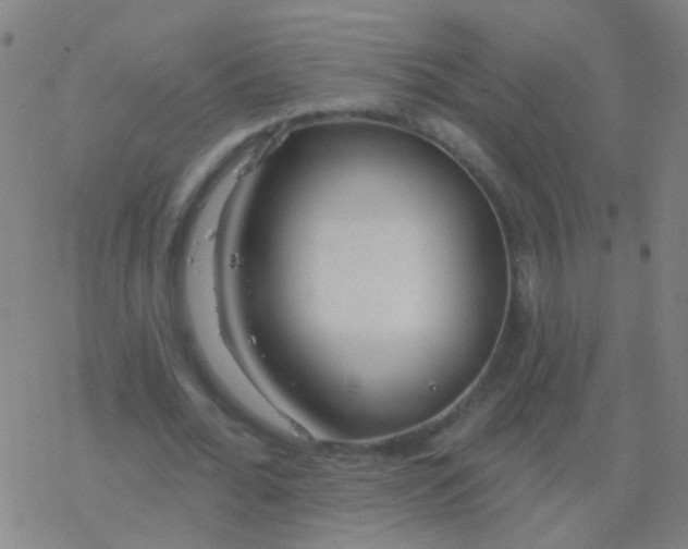 X0000077370676200611101705