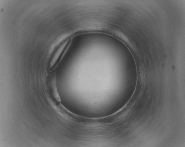 X0000077370677200611101705