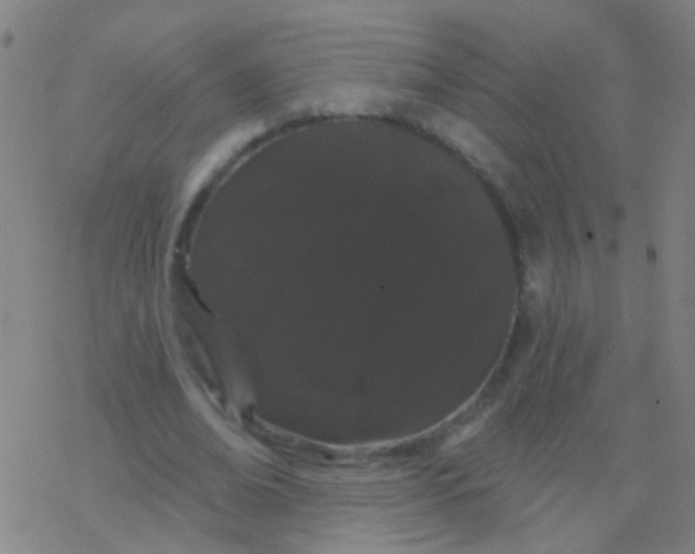 X0000077370678200611101705