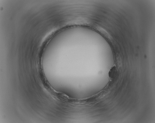 X0000077370680200611101705