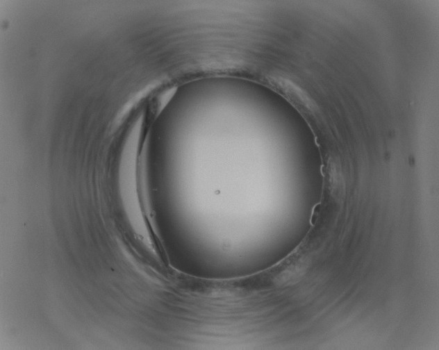 X0000077370684200611101705