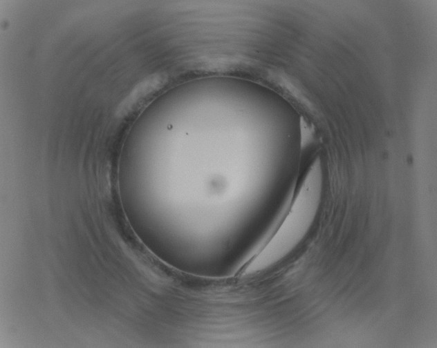 X0000077370685200611101705