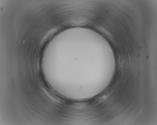 X0000077370686200611101705