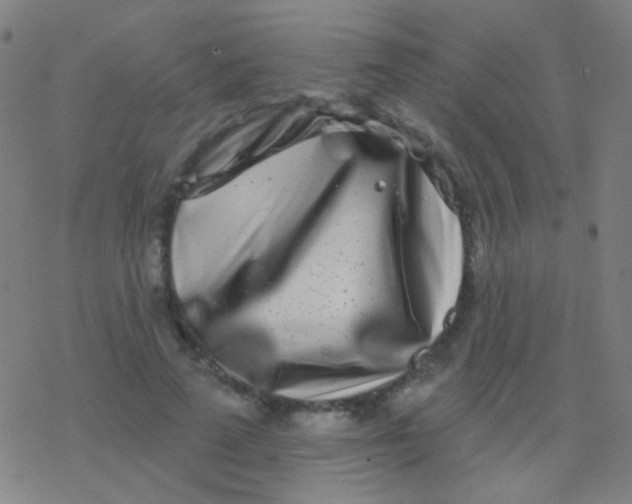 X0000077370689200611101704