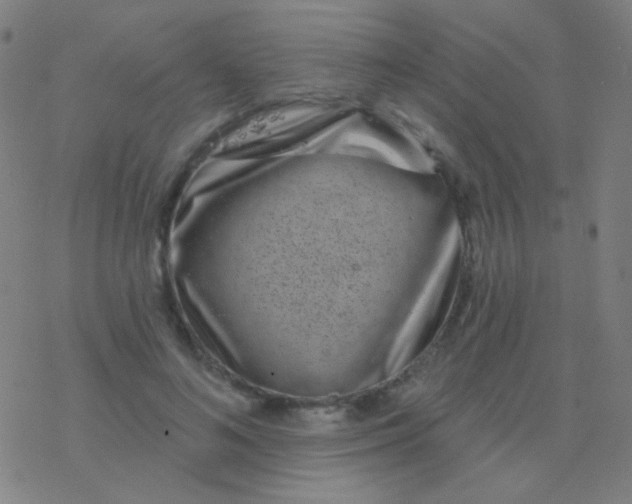 X0000077370692200611101704