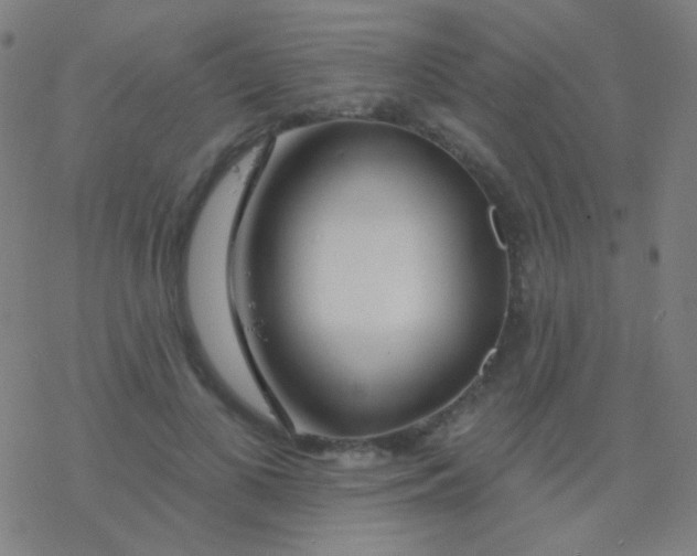 X0000077370693200611101704