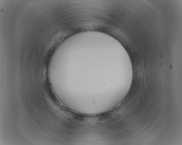 X0000077370694200611101704