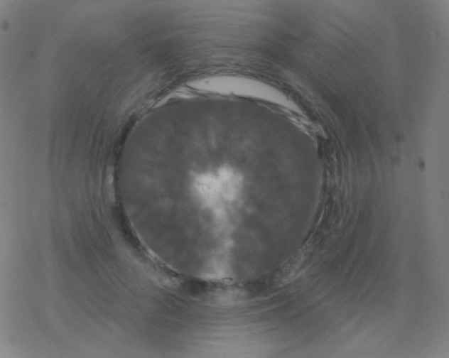 X0000077370696200611101704